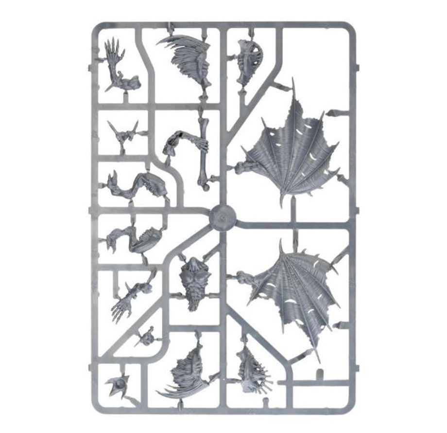 Flesh-Eater Courts Crypt Flayers – Image 5