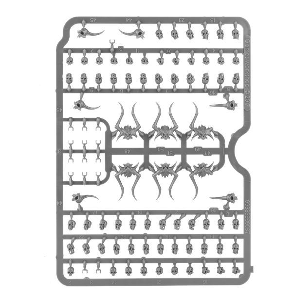 Citadel Skulls – Image 2