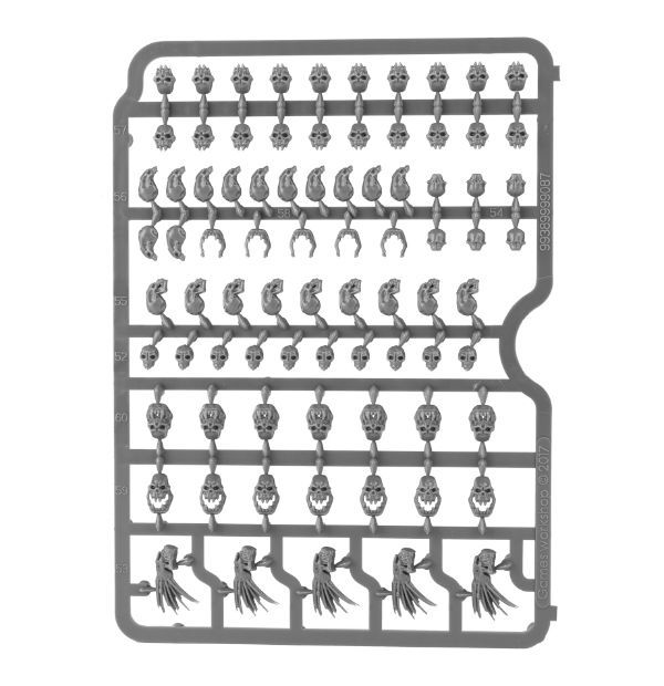 Citadel Skulls – Image 3