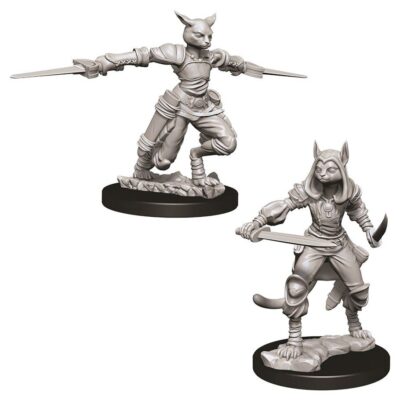 D&D Nolzur's Marvelous Miniatures - Tabaxi Rogue