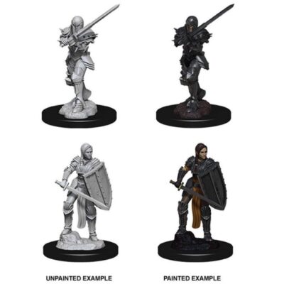 D&D Nolzur's Marvelous Miniatures - Human Fighter