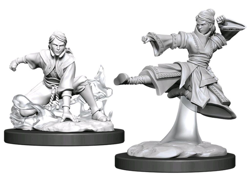 D&D Nolzur's Marvelous Miniatures - Human Monk