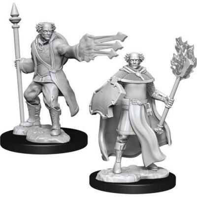 D&D Nolzur's Marvelous Miniatures - Multiclass Cleric + Wizard