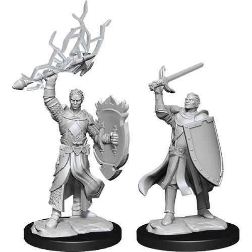 D&D Nolzur's Marvelous Miniatures - Half-Elf Paladin