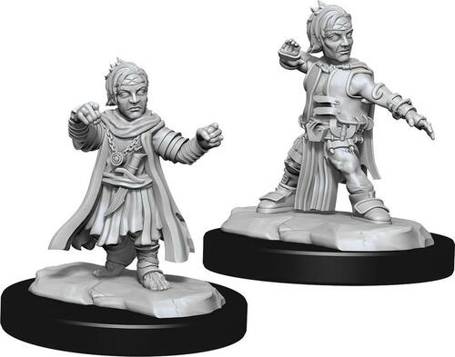 Pathfinder Deep Cuts - Male Halfling Monk
