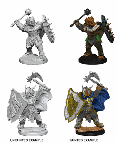D&D Nolzur's Marvelous Miniatures - Dragonborn Paladin