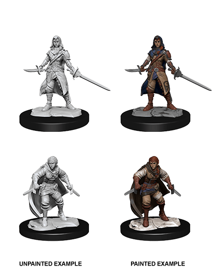 D&D Nolzur's Marvelous Miniatures - Half-Elf Rogue