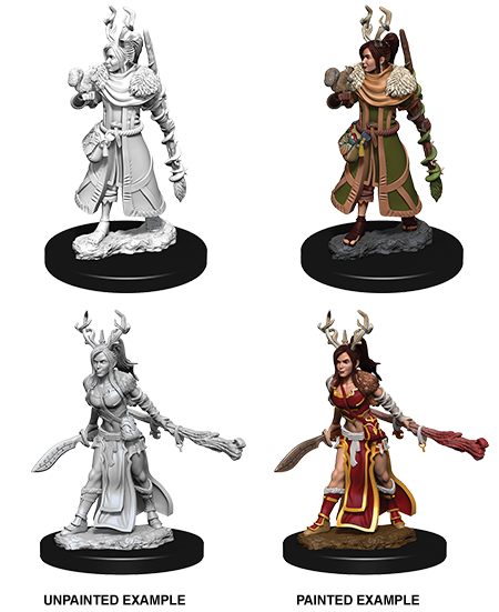 D&D Nolzur's Marvelous Miniatures - Human Druid