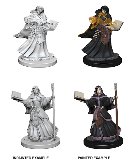 D&D Nolzur's Marvelous Miniatures - Human Wizard