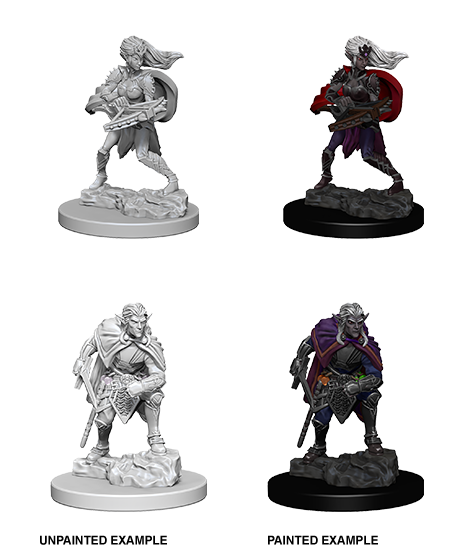 D&D Nolzur's Marvelous Miniatures - Drow