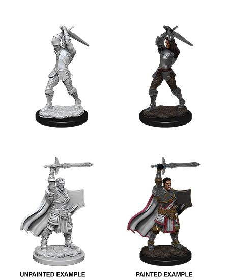 D&D Nolzur's Marvelous Miniatures - Human Paladin