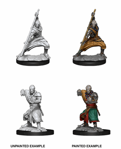 D&D Nolzur's Marvelous Miniatures - Warforged Monk