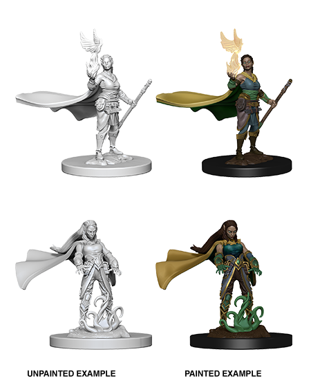 D&D Nolzur's Marvelous Miniatures - Elf Druid